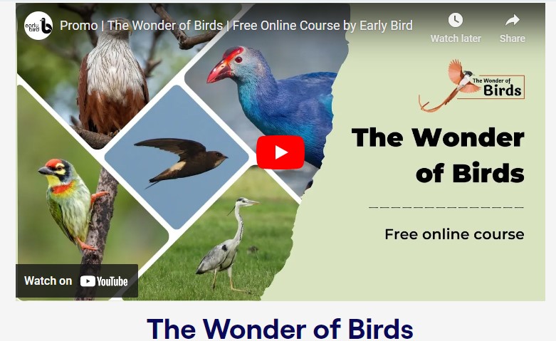 Information about Wonders of Bird Course